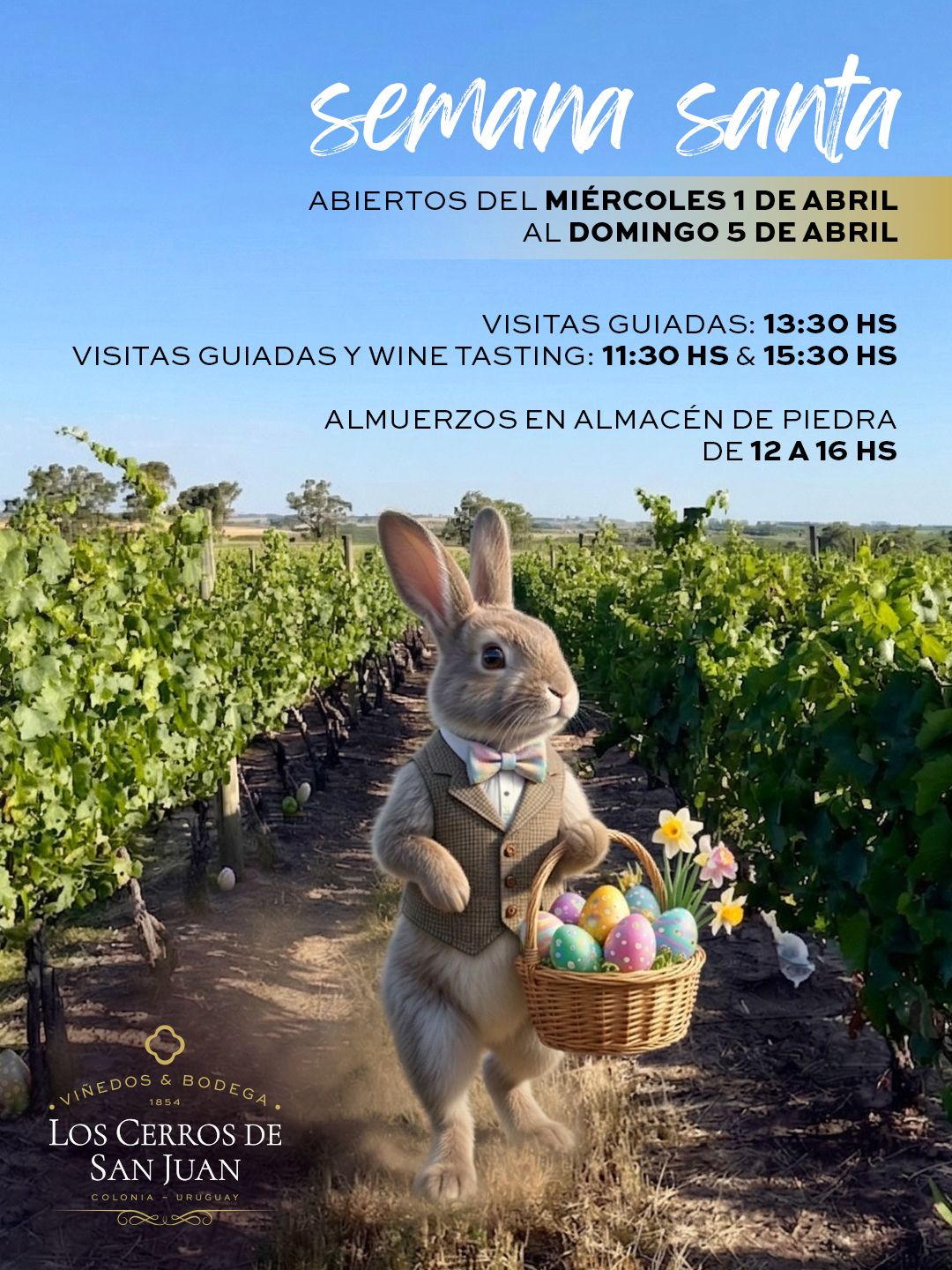 BODEGA LOS CERROS DE SAN JUAN: SEMANA DE TURISMO