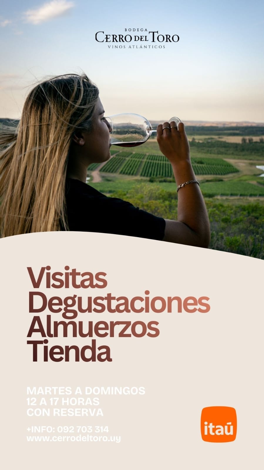 BODEGA CERRO DEL TORO: VISITANOS